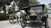 Horse dies in accident at The Henry Ford