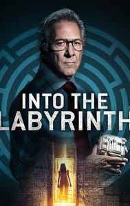 Into the Labyrinth (film)