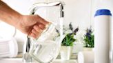 Water filter faucets and pitchers for healthy hydration