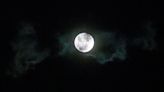 When is the next full moon? May 2024's Flower Moon rises in Illinois soon
