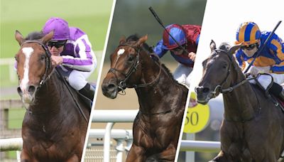 Confirmed runners and riders for the St Leger at Doncaster on Saturday - plus a tip and free bet