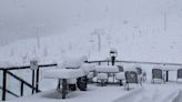 Heavy June snow wallops Alberta mountain region one day before summer
