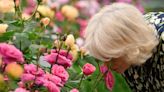Gardening and fashion prop up UK retail amid inflation worries