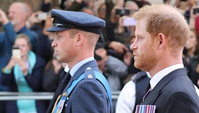 Prince Harry Cried When ‘Nemesis’ William Got Military Honor From Charles: Report