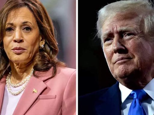 Kamala Harris launches personal TikTok account, receives millions of likes. How is it different from Joe Biden's social media strategy?