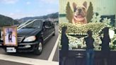 情同家人！愛犬過世主人出動「加長靈車」 豪華告別式還掛遺照│TVBS新聞網