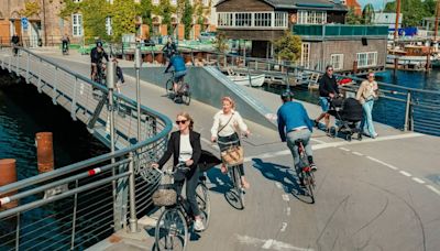 Is a free lunch enough incentive to get you to litter-pick on holiday? Copenhagen hopes so