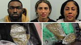 Three American drug smugglers tried to bring £1.7m of cannabis into UK in their baggage