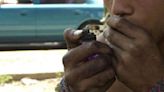 ¿Drogas en Cuba? Noticia vieja