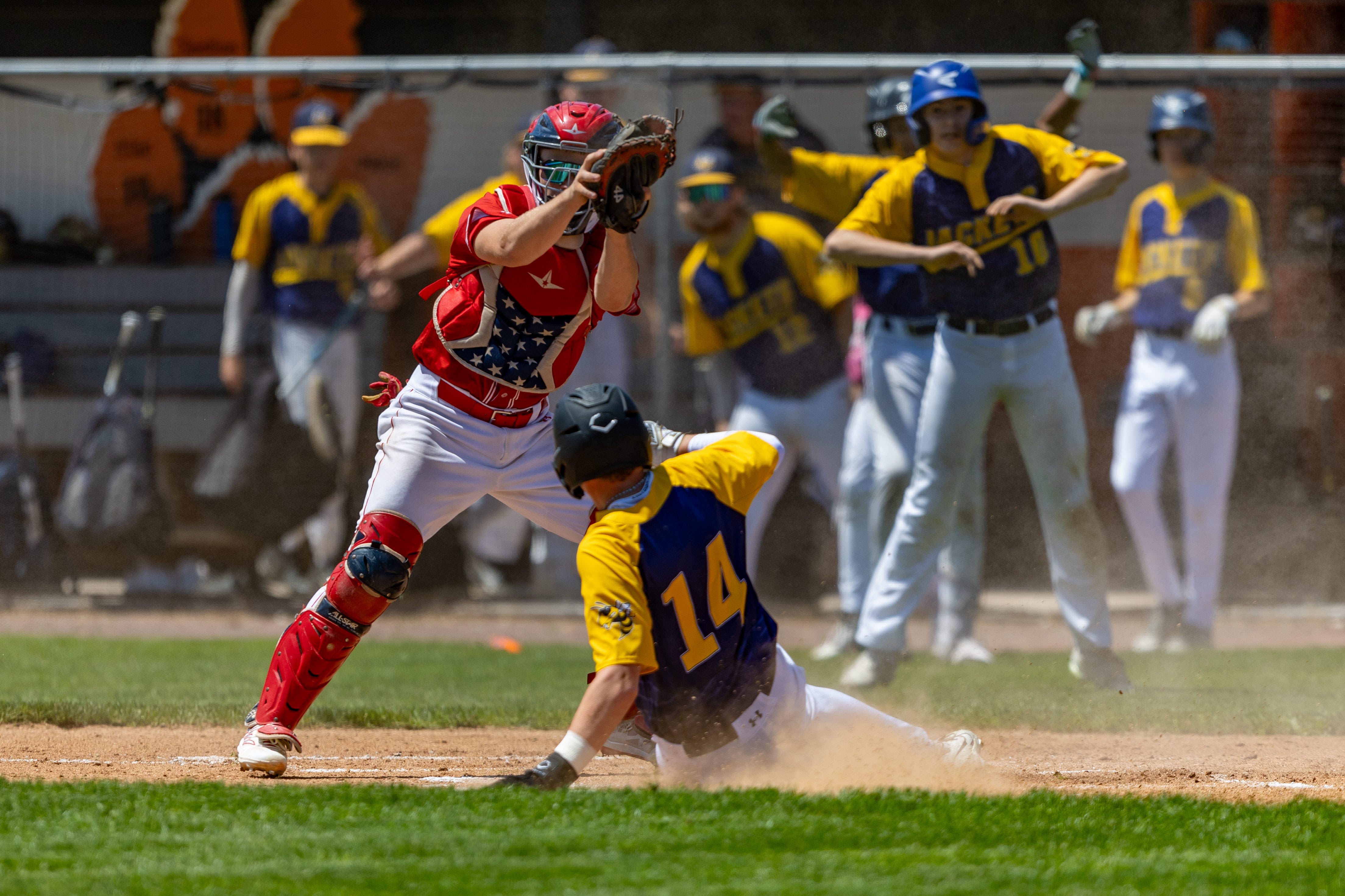 HS Baseball: Deposit-Hancock, Oneonta, Unatego/Franklin win Section 4 titles