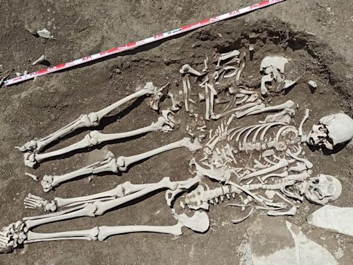 Identificada la bacteria de la peste negra en restos de un hombre en el castillo de Besora, en Osona