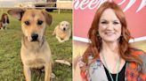 Pioneer Woman Ree Drummond Introduces a New Addition to Her Fur Family