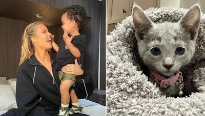 Khloé Kardashian's Son Tatum, 1, Repeats Everything His Mom Says While Playing With Family's New Kitten in Adorable...