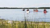 Blue-green algae alert for Hastings Lake east of Edmonton