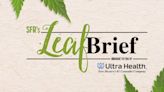 Leaf Brief: April 2024