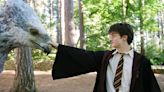 Harry Potter director says Prisoner of Azkaban is "definitely" a horror film