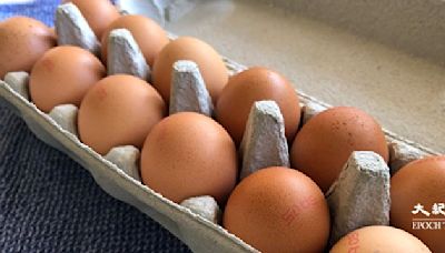 禽流感蔓延 Woolworths開始限購雞蛋