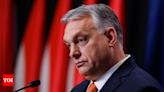 Will Hungary hijack the EU during its presidency? - Times of India