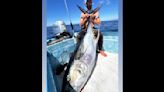 Los Cabos angler lands massive “cow” tuna, first of season
