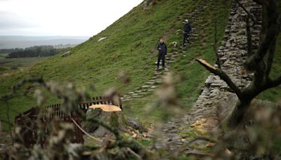 Dos acusados de talar el sicomoro conocido como el "árbol de Robin Hood" en Inglaterra