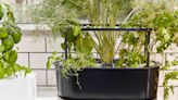 The 11 Best Indoor Garden Systems of 2023