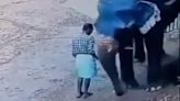 Moment elephant stamps its trainer to death