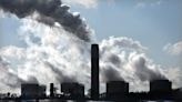 Fears of unfair scrutiny seen as barrier to climate action in big firms – report