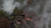 Incendios forestales afectan 101 mil hectáreas en Jalisco durante 2024