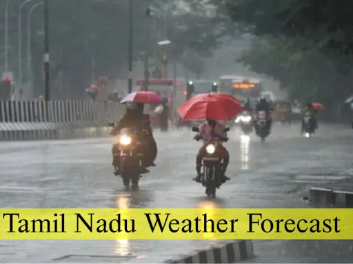 Tamil Nadu Weather Alert: Is Your District Getting Rain Relief? Weekend Weather Forecast Is Here