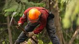 Hot, dry weather set to return soon as wildfire fight continues in B.C.