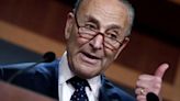 'We voted for our candidate': Dem voters rage over Chuck Schumer's bid to push Biden out