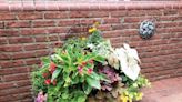 Darrell Blackwelder: Maintaining container gardens - Salisbury Post