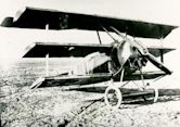 Fokker Dr.I