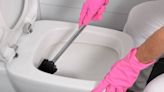 Woman's 'genius' toilet brush cleaning method will leave your loo sparkling