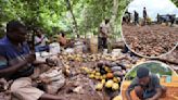 Chocolate prices likely to soar as African cocoa processing plants can’t afford to buy beans