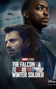 The Falcon and the Winter Soldier