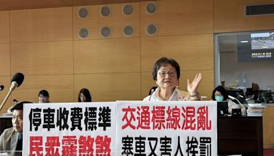 交通標線亂害人挨罰、民營停車場收費高 中市議員：民眾被迫當冤大頭