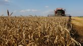 El maíz y la soja caen en Chicago por mejor tiempo para los cultivos en EEUU