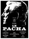 Pasha (film)