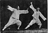 Yang-style tai chi