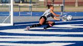See updated Ann Arbor-area girls soccer district schedule