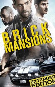 Brick Mansions