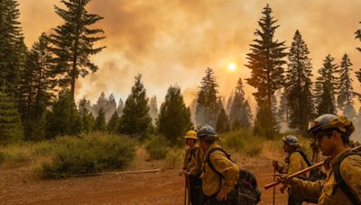 California's 'Monster' Park Fire Is Now One Of The State's Largest On Record