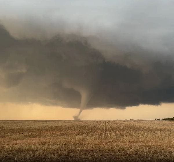 'Holy cow': Watch as storm chasers are awe-struck by tornado that touched down in Texas