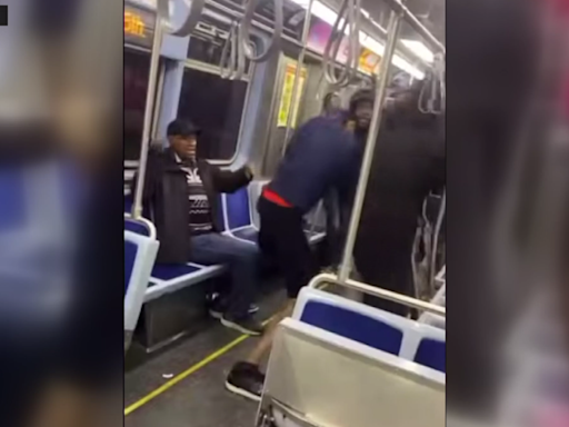 Fight on CTA Red Line train in Chicago caught on video