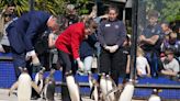 Princess Royal feeds penguins on visit to zoo