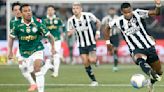 Análise: atuação coletiva faz Botafogo superar o Palmeiras no primeiro encontro entre os dois neste ano