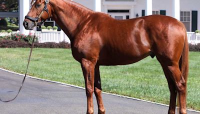 Bridle A Butterfly First Winner For Darby Dan's Freshman Sire Country House