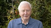 David Attenborough’s Our Planet renewed as Netflix announces new programmes