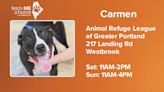 Fetch ME a Home: Carmen is ready to energize your home with love